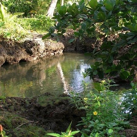 Piscina Natural On The Sea Cahuita Zewnętrze zdjęcie