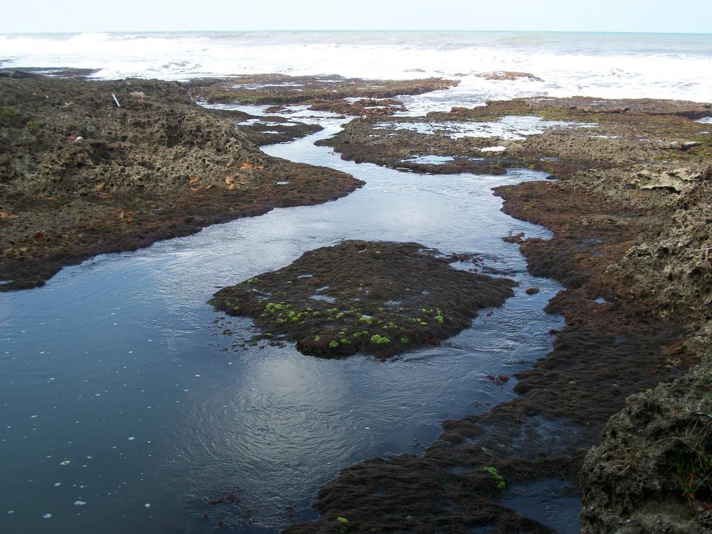 Piscina Natural On The Sea Cahuita Zewnętrze zdjęcie