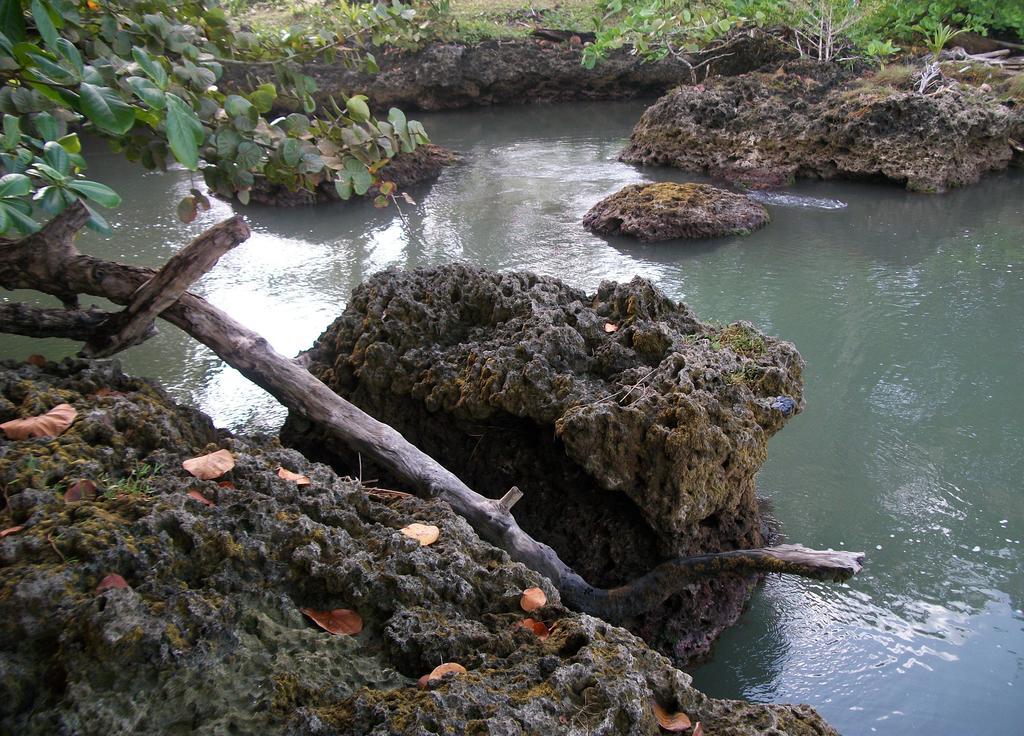 Piscina Natural On The Sea Cahuita Zewnętrze zdjęcie