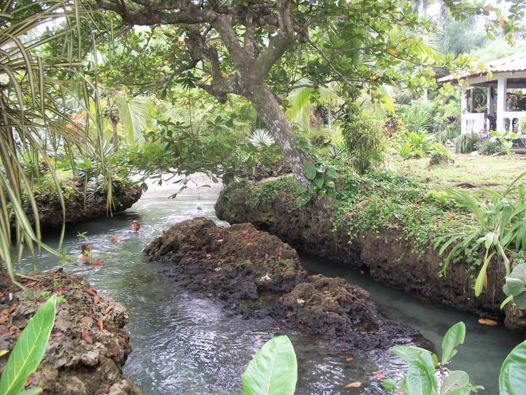 Piscina Natural On The Sea Cahuita Zewnętrze zdjęcie