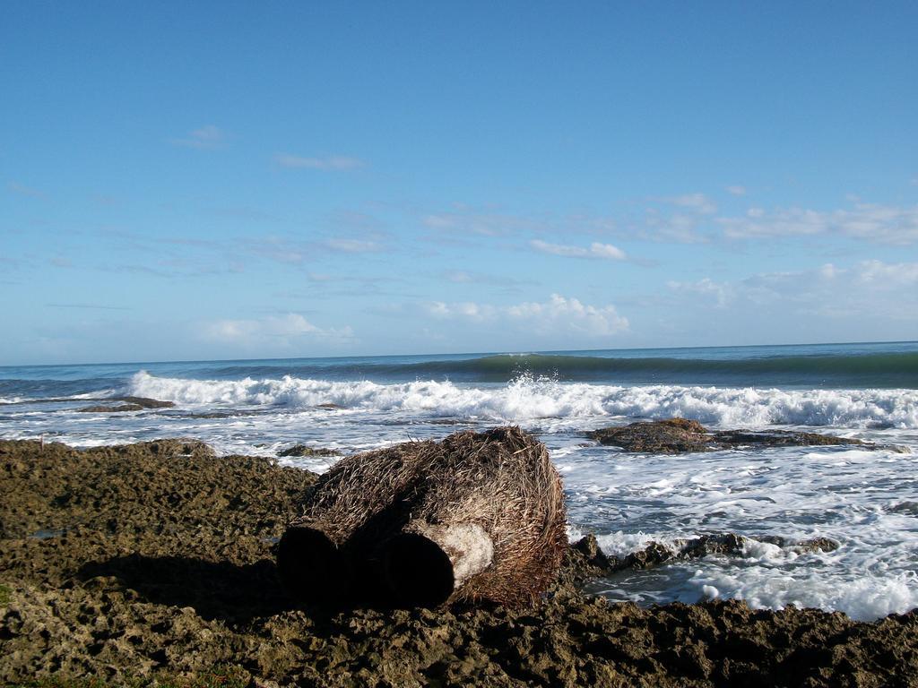 Piscina Natural On The Sea Cahuita Zewnętrze zdjęcie