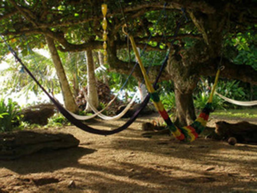 Piscina Natural On The Sea Cahuita Zewnętrze zdjęcie