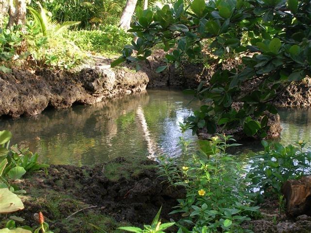 Piscina Natural On The Sea Cahuita Zewnętrze zdjęcie