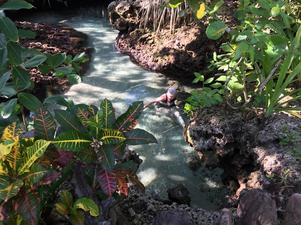 Piscina Natural On The Sea Cahuita Zewnętrze zdjęcie