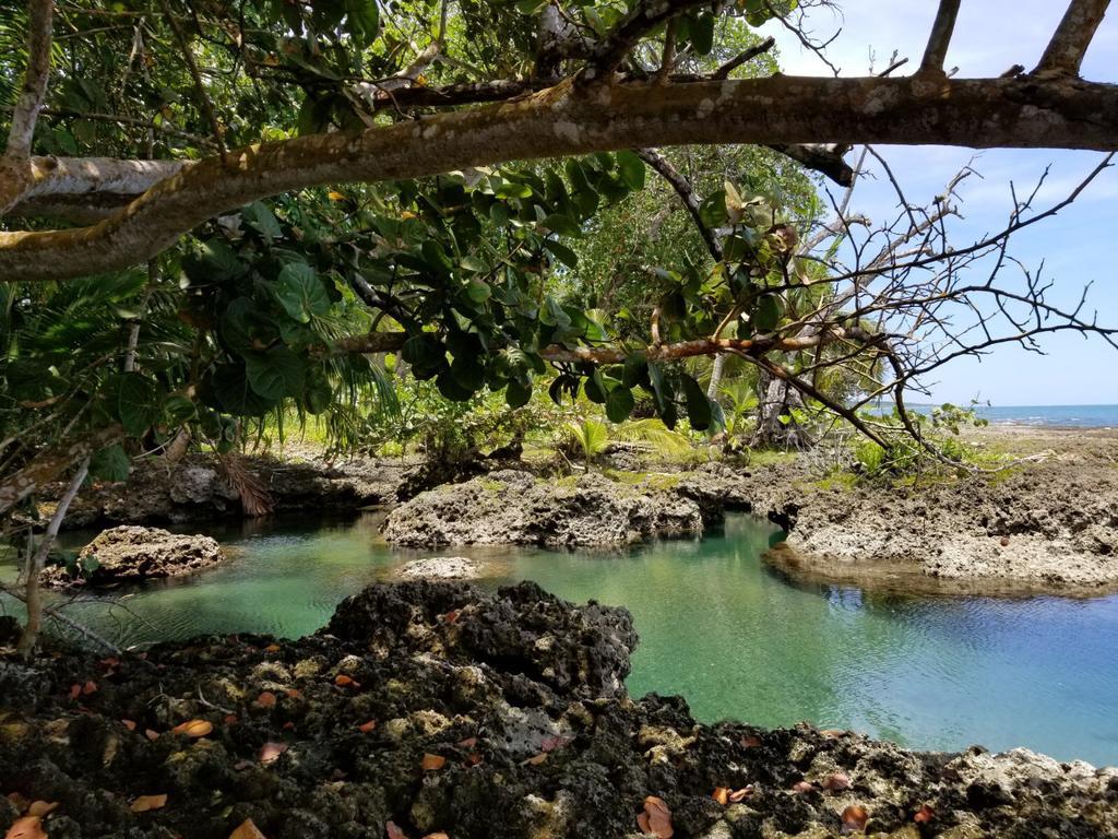 Piscina Natural On The Sea Cahuita Zewnętrze zdjęcie