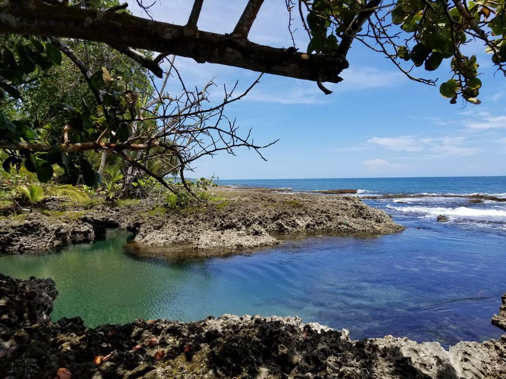 Piscina Natural On The Sea Cahuita Zewnętrze zdjęcie