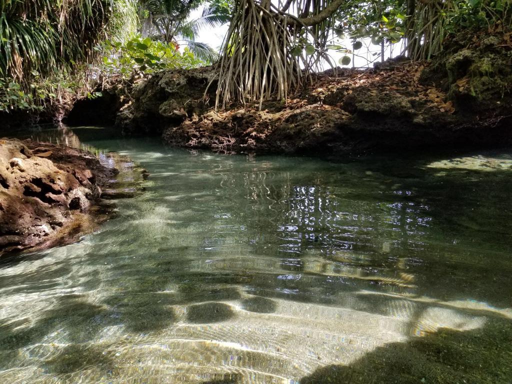 Piscina Natural On The Sea Cahuita Zewnętrze zdjęcie
