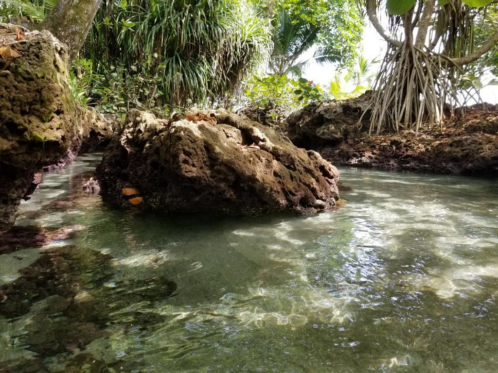 Piscina Natural On The Sea Cahuita Zewnętrze zdjęcie
